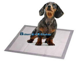 Puppy Training Pad